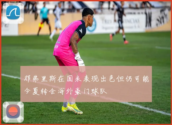 邓弗里斯在国米表现出色但仍可能今夏转会海外豪门球队