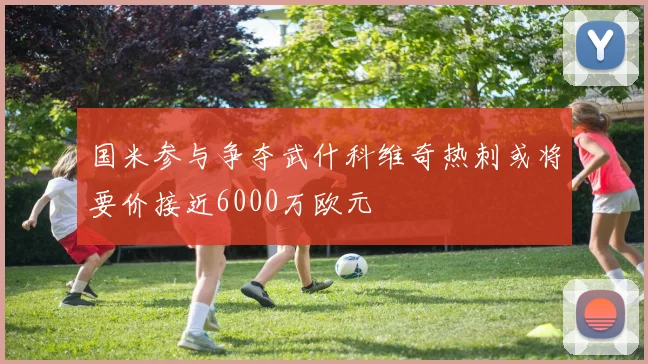 国米参与争夺武什科维奇热刺或将要价接近6000万欧元